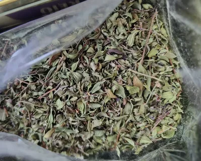 تصویر 1 از فروش آویشن سبز + قیمت خرید به صرفه